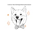 お洒落なペットイラスト描きます 写真をもとにお洒落で可愛いイラストを描きます！ イメージ6