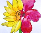色鉛筆を使って手書きのデザインを作成致します 植物、果物、野菜のデザインが得意です イメージ6