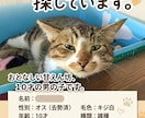 ペットの里親募集デザインを作成します SNS用画像やバナー、ポスターなど イメージ1