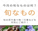 完全丸投げもOK！紙の書籍（POD出版）代行します 在庫を持たずに紙の書籍が出版できるPOD出版代行サービス イメージ9