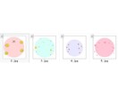 かわいいペットの似顔絵をお描きします 大切なペットのオリジナル似顔絵 イメージ6