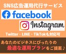 Web広告のプロがSNS広告の運用代行をします あなたのビジネスに合った最適な運用をご提案！ イメージ1