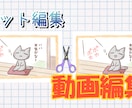 動画編集をします シンプルなものからかわいい系まで イメージ1