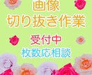 写真の切り抜きいたします 写真の切り抜き・背景の白抜き・色味加工 イメージ1
