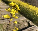 悩める人のためなら何でも聞きます 心のケアたりてますか？一緒にお話しましょー！ イメージ1