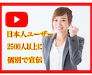 YouTubeチャンネル【完全手動】で宣伝します 他のサービスに負けない究極宣伝になります。 イメージ1