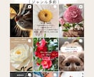 SNS視覚戦略　集客相談承ります 想いを具現化。反響を呼ぶ「視覚戦略」でビジネスを加速させます イメージ3