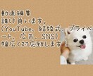 動画編集やサムネイル作成   します カットからエフェクト、テロップ入れまで動画を編集致します。 イメージ2
