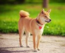 画像の切り抜きをします 面倒な作業もボタン一つで楽チン！！ イメージ1