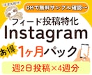 インスタ｜1か月分フィード【投稿画像】制作します 運用代行の前に。まずは投稿の土台を整える1か月パック イメージ1