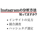ビデオチャットでアカウント設計、分析をいたします まずはフォロワー1000人を目指すためのノウハウを教えます イメージ2