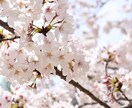 あなたの日常をどんな事でも受け止めます 日常の楽しいことから苦しいことまで、少しでも生活に寄り添える イメージ4