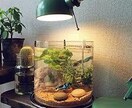 しごとのストレス専門 心理カウンセリングします しごとのストレスから体調不良になってしまったあなたをフォロー イメージ9