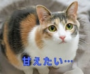 今日あった出来事、何でも聞きます 甘えたい夜もモヤモヤも丸ごと受け止めます♡ イメージ7