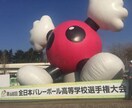バレーボール（主にセッター）技術サポートします 全国大会に出場しました。ポジションセッターです。 イメージ1