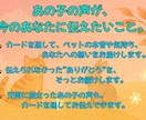 大切なあの子の想いをやさしくお届けします ～今そばにいる子も、お空に還ったあの子も～ イメージ2
