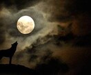 心のナゼ？ナニ？ナンで？を簡単に説明します 他人や夫、妻、子供、恋人、自分の本当に求めている事 イメージ1