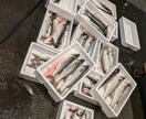 ボラ料理についてアドバイスします 秋から冬にかけてのボラを一度食べてみて下さい イメージ10
