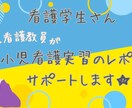 元教員が小児看護実習の記録サポートします 小児看護においての記録の書き方、看護過程の悩みや不安な方に！ イメージ1
