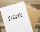 告訴状の雛形を販売します 費用を抑えるため告訴状を自分で作成する方へ向けたサービスです イメージ2