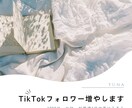 Tiktokのフォロワー1000人増やします 年中無休！即日対応！今すぐに増やしたい方お任せください！ イメージ1