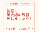 気軽な英会話の練習相手をします 旅行・出張など、目的やレベル・期間に応じてオーダーメイド可 イメージ1