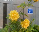 画像加工承ります 人物削除、背景削除、背景透過等 イメージ2