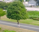 ドローン撮影します 全国どこでもドローン撮影しに行きます。 イメージ4