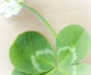 誰にも言えない心のSOS　私が優しく受けとめます ひとりで抱えず話してみませんか？こころ休まる優しいひととき❀ イメージ4