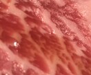 ほんの少し心に余裕を作ります 今にも消えてしまいそうな人専用の安全地帯です イメージ4