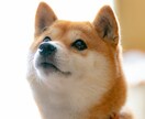 何でもいいから話を聞いてほしい！話し聞きます 真剣な悩みから些細な出来事まで何でも話してください！ イメージ5