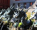 龍からの後押しと算命学で一歩踏み出す力を授けます 龍チャネリングと運命鑑定で宿命を活かす方向性を見つける イメージ8