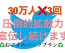 30万人×3回分！ツイート拡散宣伝し続けます 大人気商品のパックプラン登場！30万人3回分セット割！！ イメージ1