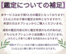 子育て鑑定！お子様が抱える気持ちや悩みを鑑定します お子様が抱えている心の声をホロスコープで深く読み解きます！ イメージ5