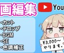 3000円～Youtube動画の編集を承ります あなたのイメージに合わせて編集します！ イメージ1