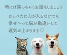 未来が安心・楽観的に♡答えがないお悩み軽くします 1分OK！安心に繋がる未来予測お話しすることで元気になる電話 イメージ7