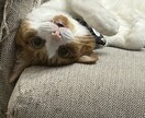 看護師さん、悩みや愚痴聴きます 職場の謎ルールや忙しい毎日、命削る夜勤、人間関係等… イメージ1