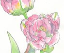 5000円の範囲内でイラストの制作行います 動物、植物、建物、デザイン等。5000円範囲で製作します。 イメージ3