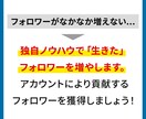 X（旧Twitter）運用代行を低価格で提供します 毎日の投稿や運用を丸ごとおまかせ！初心者さんも歓迎です イメージ5