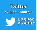 2000人Twitterフォロワー増やします ３０日減少保証！アカウント向上の応援します！ イメージ1