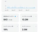 Twitter 日本人フォロワー500人増加します X・旧Twitter 日本人フォロワー500人以上増やします イメージ7