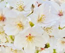 落ち着いた環境で話したい方のお話を聞きます [30分チャット]60・90・120分はオプションにてご対応 イメージ2