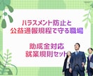 助成金対応の就業規則・賃金規程を整備します 助成金と労務リスクに強い就業規則を一括整備 イメージ4
