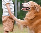 分かってもらえなかった末っ子の気持ちに寄り添います 気を遣って育ってきたあなたの思いを受け止めます。 イメージ8