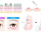 医療用イラスト作成いたします 医療用のイラストをお手軽なお値段で作成致します！ イメージ2