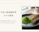 IT不要！自分で簡単更新できる集客ページを作ります 文字や写真を自分で簡単更新ITが苦手な方向け集客用ページ イメージ5