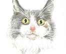 ペットの絵描きます あなたの大切な家族を、絵にしてみませんか？ イメージ3
