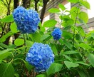 スマホで撮影した四季の風景写真をお届けします 「なんだか癒された」と思ってもらえる写真をめざしています イメージ3