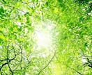 その苦しみから解放されませんか？ お話聞きます 対人関係、お金、仕事、恋愛や夫婦関係の悩み聴きます。 イメージ2