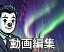 動画編集を要望通りに行います 納期厳守！実績無いから格安！！ イメージ1